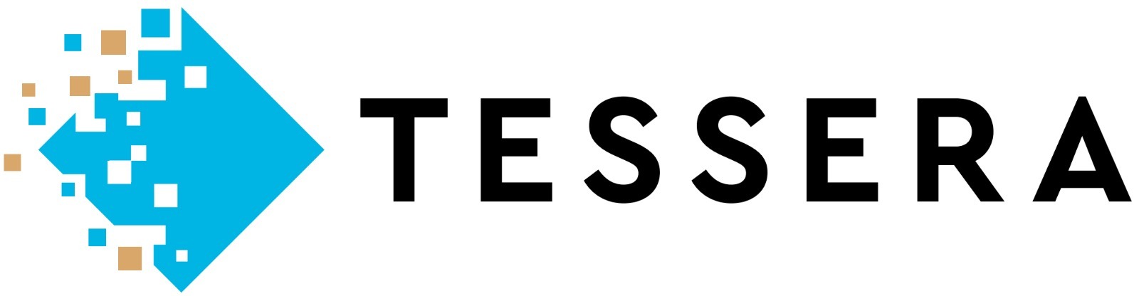 Tessera Logo